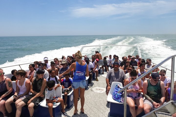 EARLY BIRD SPECIAL: Croisière en bateau rapide et dauphin à Ocean City, MD