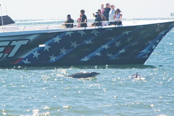 EARLY BIRD SPECIAL: Croisière en bateau rapide et dauphin à Ocean City, MD