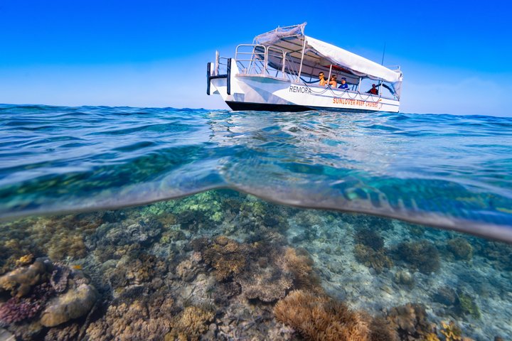Sunlover Reef Cruises ofrece una gran experiencia de barrera de coral