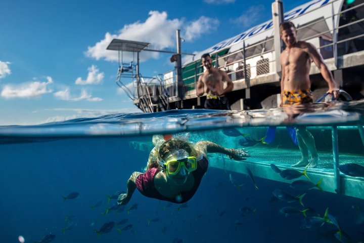 Sunlover Reef Cruises ofrece una gran experiencia de barrera de coral
