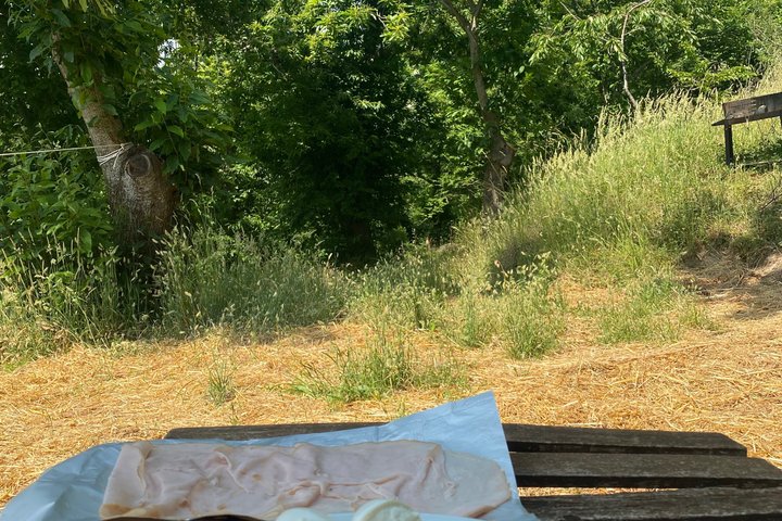 Kastanienernte in der Natur mit Korb & lokaler Food-Verkostung
