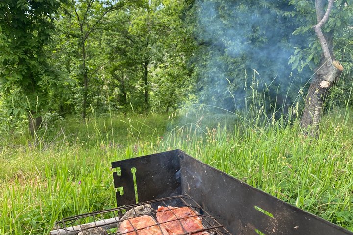 Kastanienernte in der Natur mit Korb & lokaler Food-Verkostung