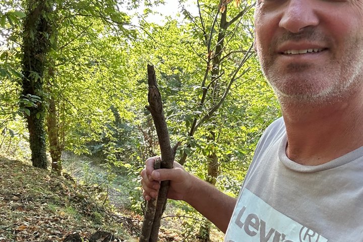 Kastanienernte in der Natur mit Korb & lokaler Food-Verkostung