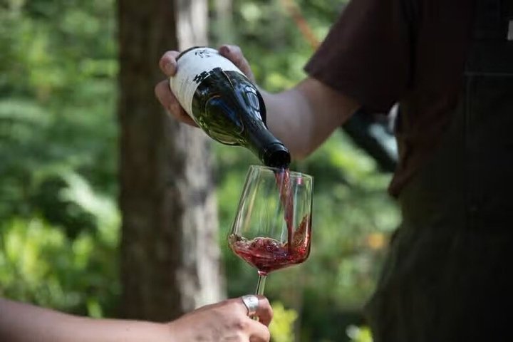 Kastanienernte in der Natur mit Korb & lokaler Food-Verkostung