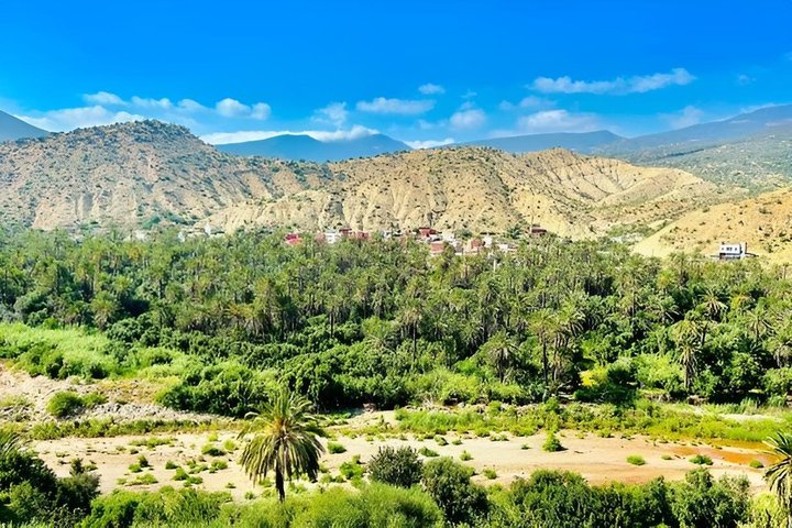 Paradise Valley tur & Geder på Argan træer pakke fra Agadir