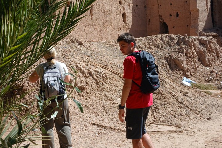 Private Skoura Oasis Wanderung und hausgemachte Mahlzeit mit Einheimischen