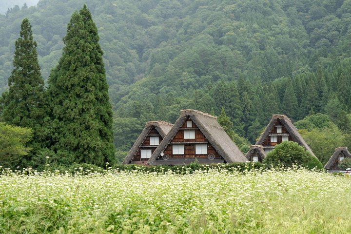 Shirakawago & Kanazawa från Kanazawa