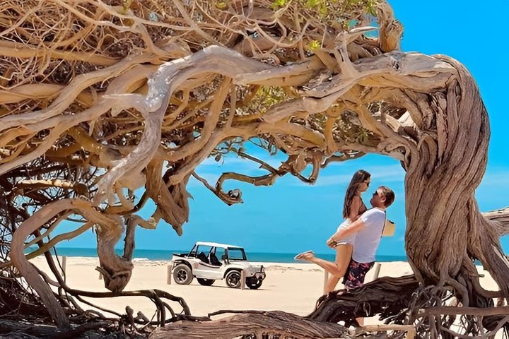 Passeio Privativo de Buggy Lagoa do Paraíso + Buraco Azul + Praia Prea
