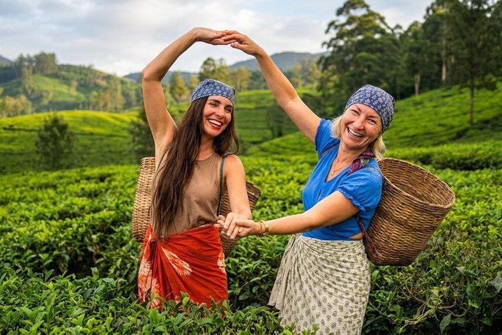 Nuwara Eliya Theeplukken en Proe-tochten Watervaltochten