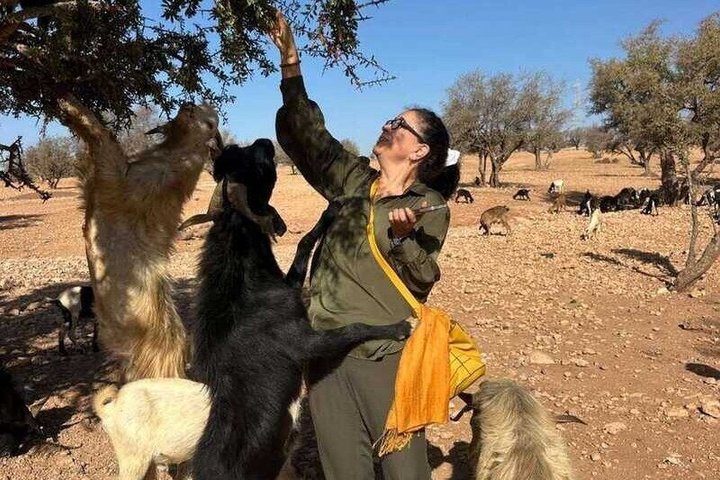 Agadir: Bilhete Crocoparc e passeio de cabras de escalada com transferência