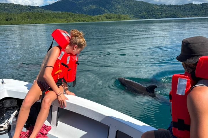Hvalsafari med snorkling og fiske i Puerto Jiménez