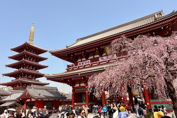 Privat halvdagstur till Tokyos höjdpunkter med bil med Guide