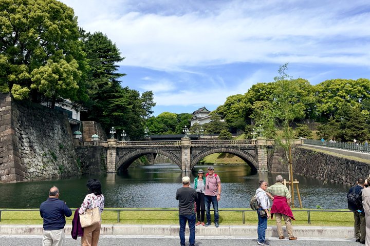 Privat halvdagstur i Tokyo med Vejleder