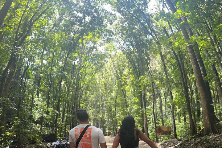¿Visitando Bohol? Explora a tu manera: Privado y flexible.