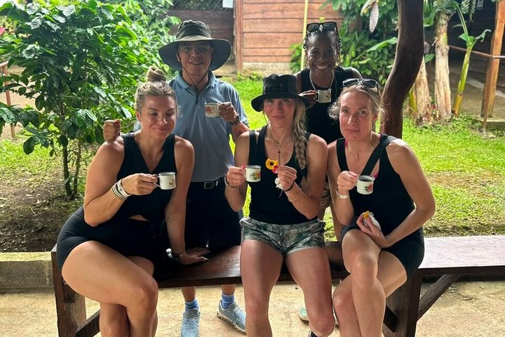 Sloth Watching , Coffee, Chocolate & Waterfall Experience