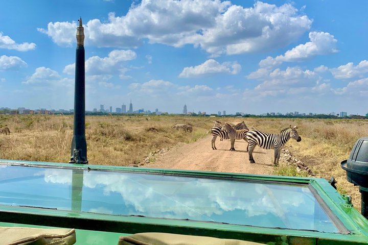 Safari Tour; Nairobi nasjonalpark