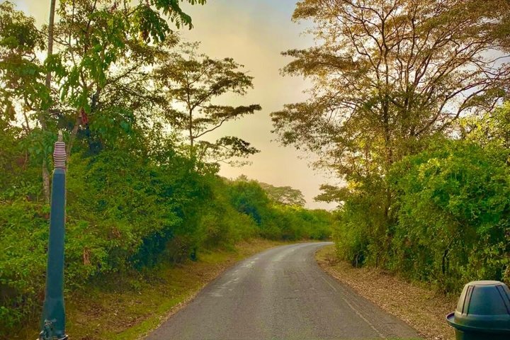 Safari Tour; Nairobi nasjonalpark