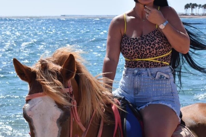 Horse Riding Nabq Bay Beach,Desert Sunrise&Sunset-Sharm El Sheikh