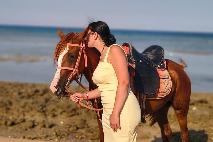 Horse Riding Nabq Bay Beach,Desert Sunrise&Sunset-Sharm El Sheikh