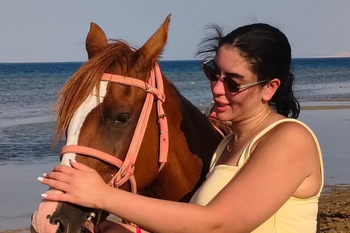 Horse Riding Nabq Bay Beach,Desert Sunrise&Sunset-Sharm El Sheikh