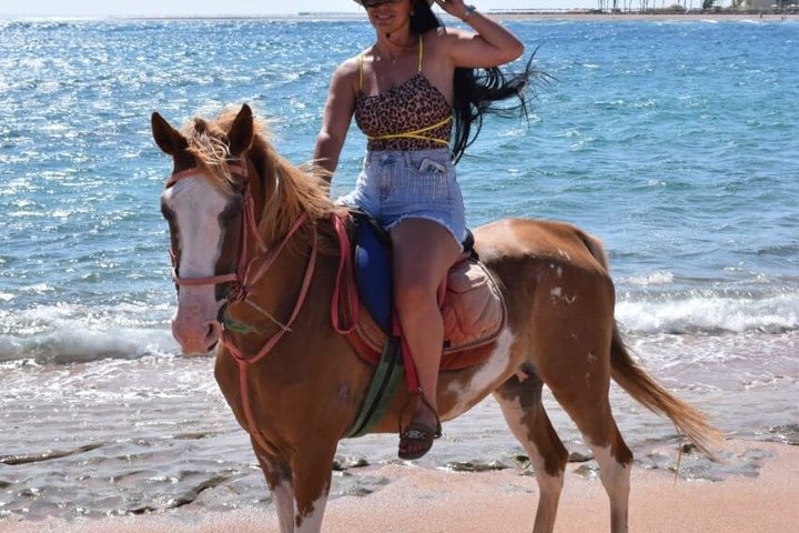 Horse Riding Nabq Bay Beach,Desert Sunrise&Sunset-Sharm El Sheikh