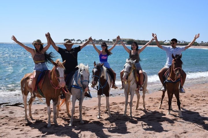 Horse Riding Nabq Bay Beach,Desert Sunrise&Sunset-Sharm El Sheikh
