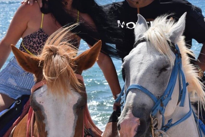 Horse Riding Nabq Bay Beach,Desert Sunrise&Sunset-Sharm El Sheikh